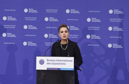 Elçin Əmirbəyov: “Bakının hava limanına yaxın 200 hektarlıq məkanda böyük "Expo" kəndi salınacaq”