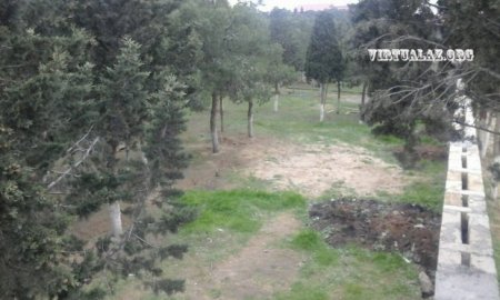 Bakıda Abutalıbovun hasarlatdığı 2 hektarlıq meşəyə görə materiallar prokurorluğa göndərildi