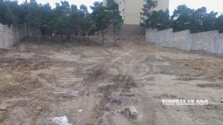 Bakıda Abutalıbovun hasarlatdığı 2 hektarlıq meşəyə görə materiallar prokurorluğa göndərildi