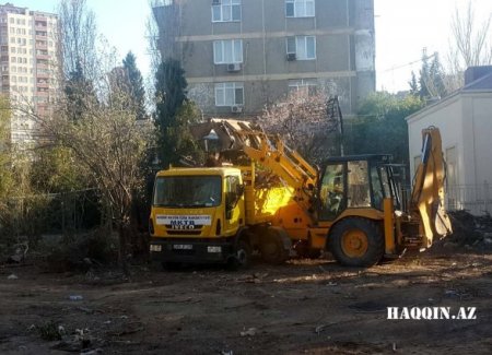 Heydər Əliyev: “Kəsilmiş ağacların yerində tikilmiş kafe və restoranlar dağıdılmalıdır”