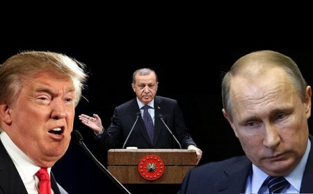 Ərdoğan Tramp və Putinlə danışıqlarının detalları haqda