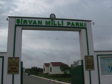 Şirvan Milli Parkında silahlı insident