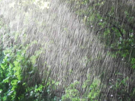Şimşək çaxacaq, yağış yağacaq - İstirahət gününün HAVAsı