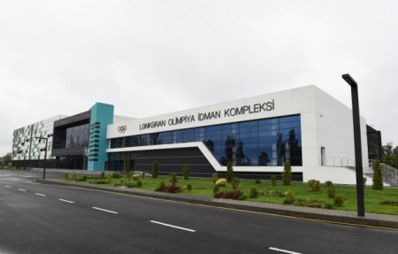 İlham Əliyev və Mehriban Əliyeva “Azərxalça” ASC-nin Lənkəran filialının açılışında iştirak ediblər
